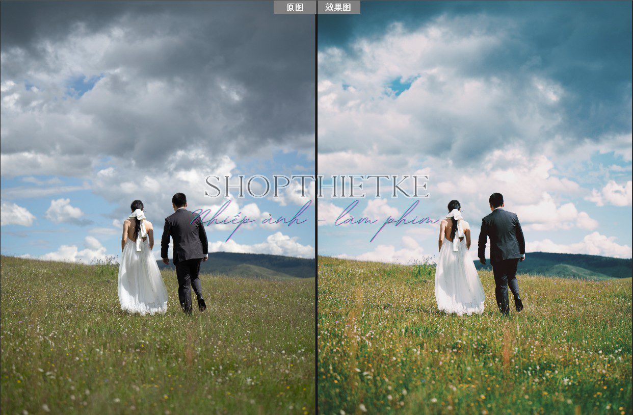 Preset Màu Phim Mango Xiaoming LUT Kèm Full VSCO 137 LUT (XMP/CUBE) 33 shopthietke com Shopthietke.com 264