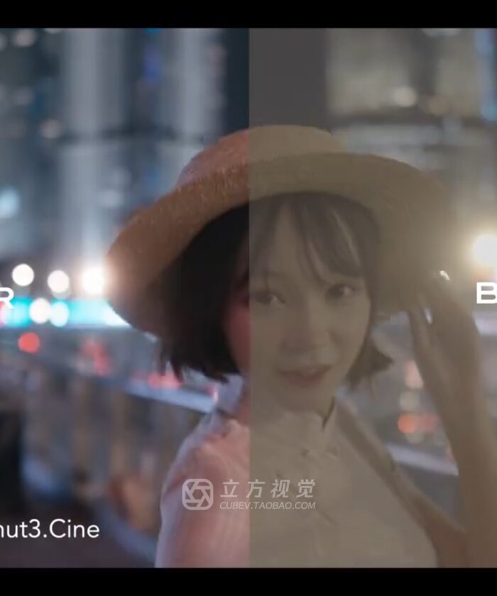 Bộ LUT Sony Sang Kodak 2383/2393 – Giả Lập Màu Phim Điện Ảnh Cổ Điển (CUBE) 19 shopthietke com Shopthietke.com 3