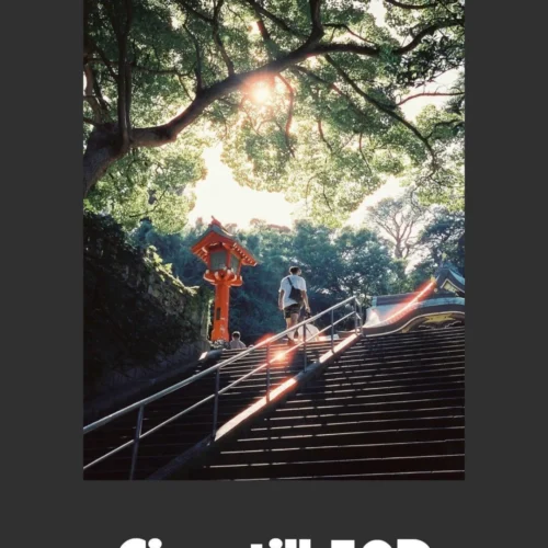 Bộ Preset ShanKui Lightroom – 18 Kiểu Màu Film Cho Chân Dung, Thành Phố Và Điện Ảnh (XMP/CUBE)