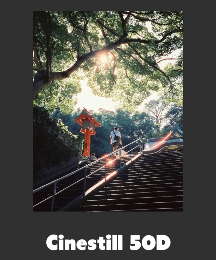 Bộ Preset ShanKui Lightroom – 18 Kiểu Màu Film Cho Chân Dung, Thành Phố Và Điện Ảnh (XMP/CUBE) 19 shopthietke com Shopthietke.com 35