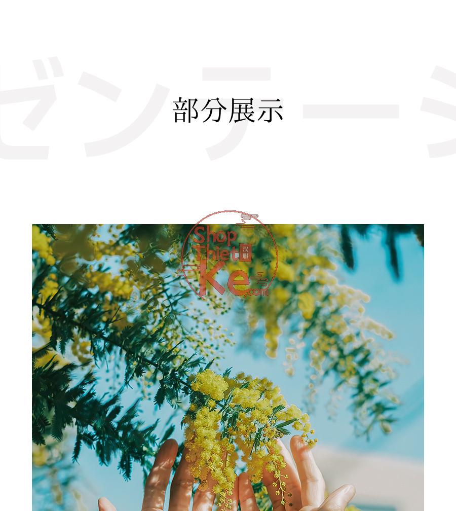 shopthietke com Shopthietke.com 37