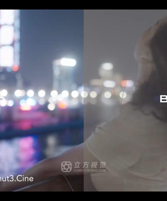 Bộ LUT Sony Sang Kodak 2383/2393 – Giả Lập Màu Phim Điện Ảnh Cổ Điển (CUBE) 20 shopthietke com Shopthietke.com 4