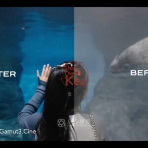 Bộ LUT Sony Sang Kodak 2383/2393 – Giả Lập Màu Phim Điện Ảnh Cổ Điển (CUBE)