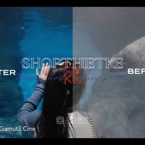 Bộ LUT Sony Sang Kodak 2383/2393 – Giả Lập Màu Phim Điện Ảnh Cổ Điển (CUBE)