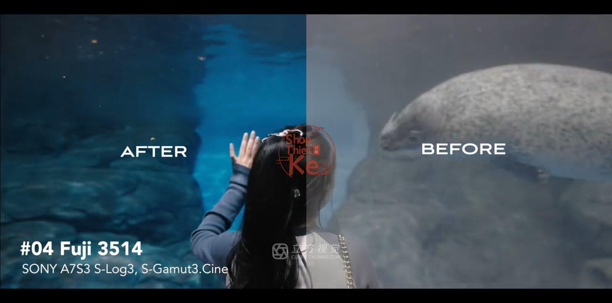 Bộ LUT Sony Sang Kodak 2383/2393 – Giả Lập Màu Phim Điện Ảnh Cổ Điển (CUBE) 8 shopthietke com Shopthietke.com 5 scaled