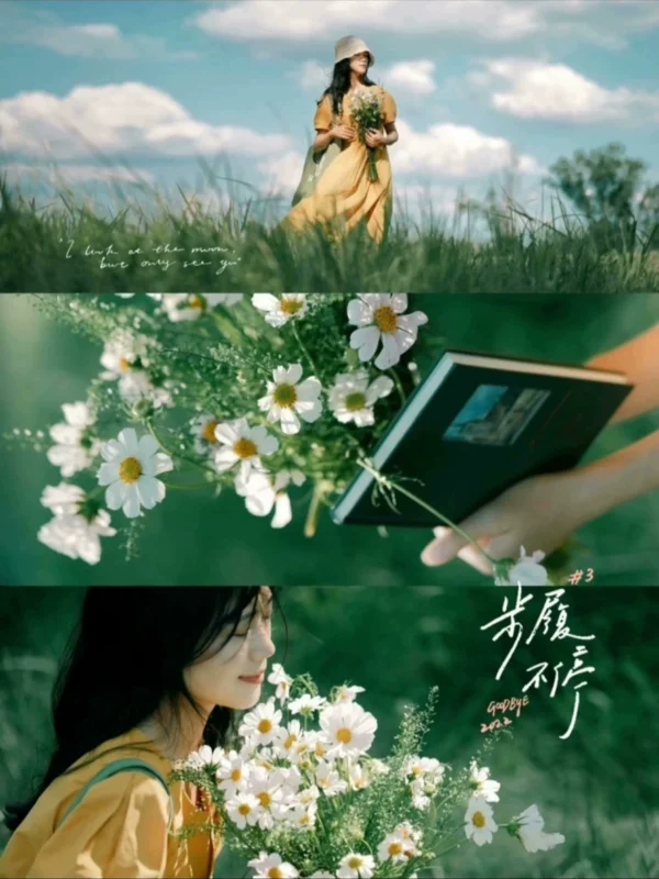 Preset Lightroom Màu Rừng – 16 Tông Màu Film Cao Cấp Cho Ảnh Chân Dung & Phong Cảnh (XMP/DNG/CUBE)