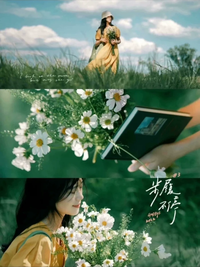 Preset Lightroom Màu Rừng – 16 Tông Màu Film Cao Cấp Cho Ảnh Chân Dung & Phong Cảnh (XMP/DNG/CUBE)