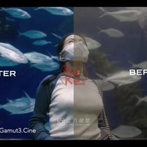 Bộ LUT Sony Sang Kodak 2383/2393 – Giả Lập Màu Phim Điện Ảnh Cổ Điển (CUBE)