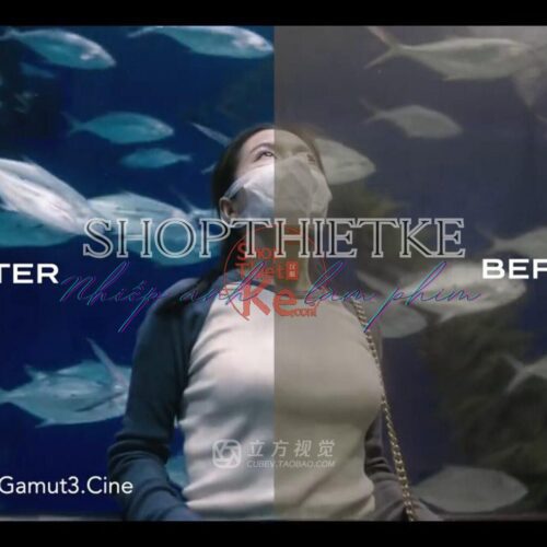 Bộ LUT Sony Sang Kodak 2383/2393 – Giả Lập Màu Phim Điện Ảnh Cổ Điển (CUBE)