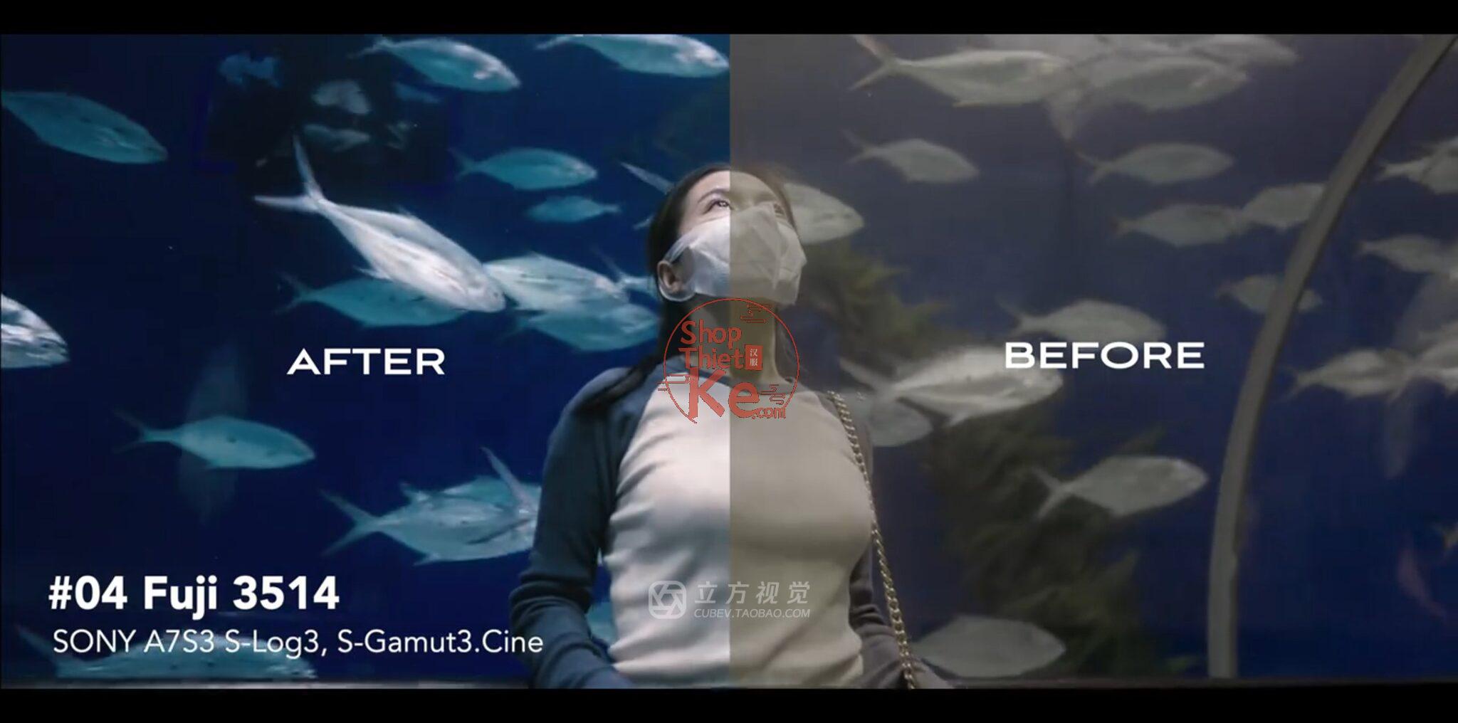 Bộ LUT Sony Sang Kodak 2383/2393 – Giả Lập Màu Phim Điện Ảnh Cổ Điển (CUBE) 9 shopthietke com Shopthietke.com 6 scaled