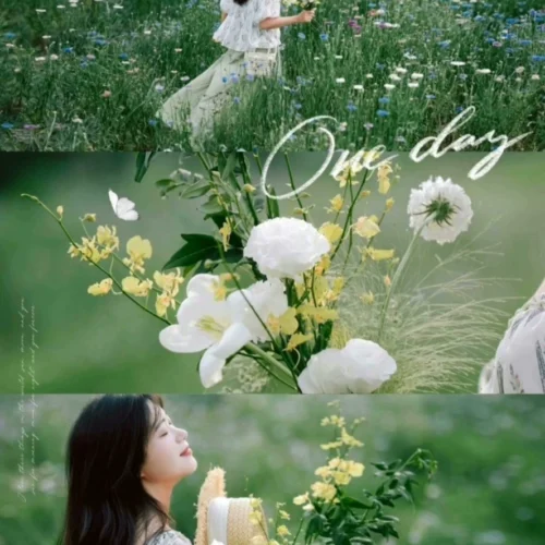 Preset Lightroom Màu Rừng – 16 Tông Màu Film Cao Cấp Cho Ảnh Chân Dung & Phong Cảnh (XMP/DNG/CUBE)