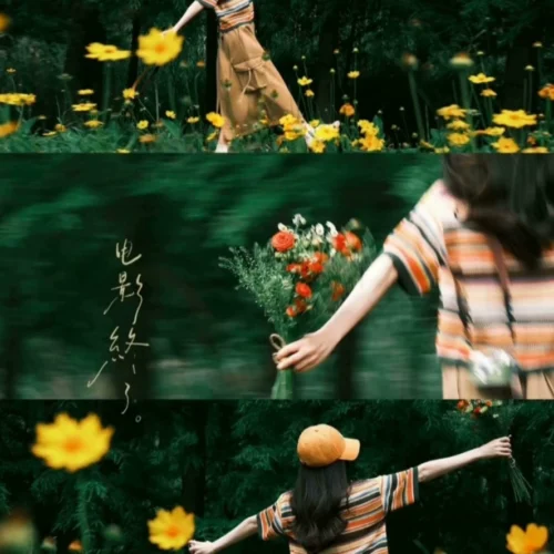 Preset Lightroom Màu Rừng – 16 Tông Màu Film Cao Cấp Cho Ảnh Chân Dung & Phong Cảnh (XMP/DNG/CUBE)