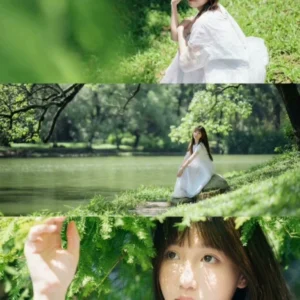 Preset Lightroom Màu Rừng – 16 Tông Màu Film Cao Cấp Cho Ảnh Chân Dung & Phong Cảnh (XMP/DNG/CUBE)