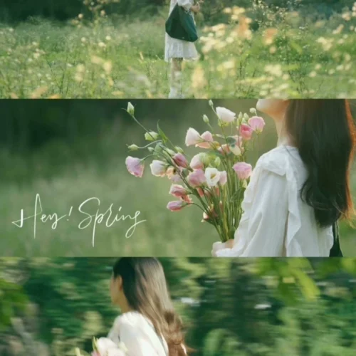 Preset Lightroom Màu Rừng – 16 Tông Màu Film Cao Cấp Cho Ảnh Chân Dung & Phong Cảnh (XMP/DNG/CUBE)