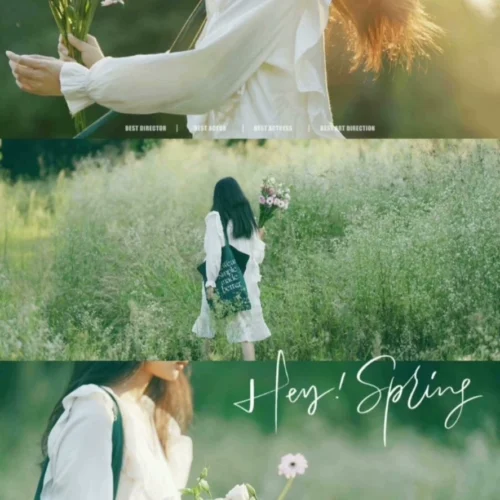 Preset Lightroom Màu Rừng – 16 Tông Màu Film Cao Cấp Cho Ảnh Chân Dung & Phong Cảnh (XMP/DNG/CUBE)