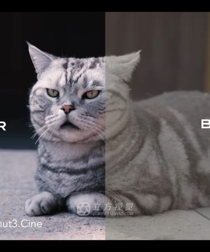 shopthietke com Shopthietke.com 7