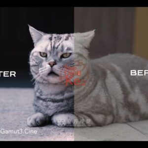 Bộ LUT Sony Sang Kodak 2383/2393 – Giả Lập Màu Phim Điện Ảnh Cổ Điển (CUBE)