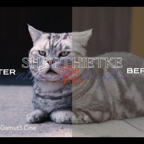 Bộ LUT Sony Sang Kodak 2383/2393 – Giả Lập Màu Phim Điện Ảnh Cổ Điển (CUBE)