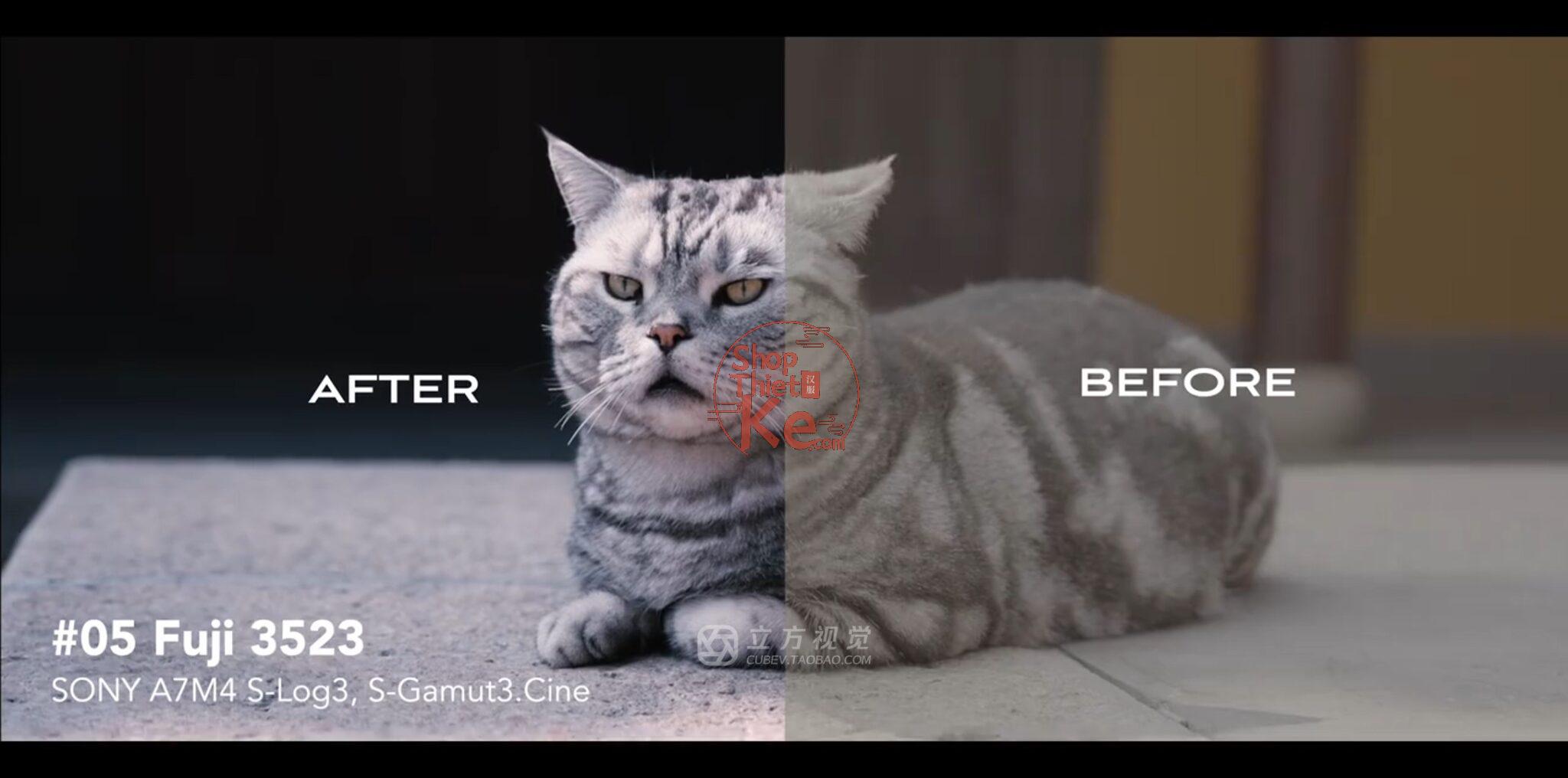 Bộ LUT Sony Sang Kodak 2383/2393 – Giả Lập Màu Phim Điện Ảnh Cổ Điển (CUBE) 10 shopthietke com Shopthietke.com 7 scaled