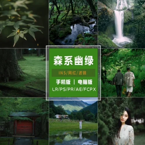 Preset Lightroom Màu Rừng Tự Nhiên – 50 Tone Film Tĩnh Lặng, Dịu Mắt, Chuẩn Điện Ảnh (XMP/CUBE)