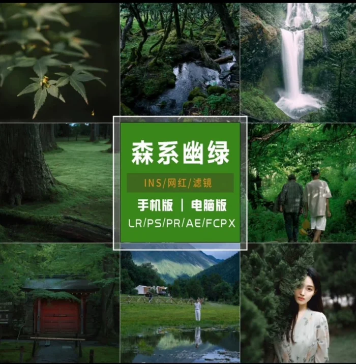 Preset Lightroom Màu Rừng Tự Nhiên – 50 Tone Film Tĩnh Lặng, Dịu Mắt, Chuẩn Điện Ảnh (XMP/CUBE)