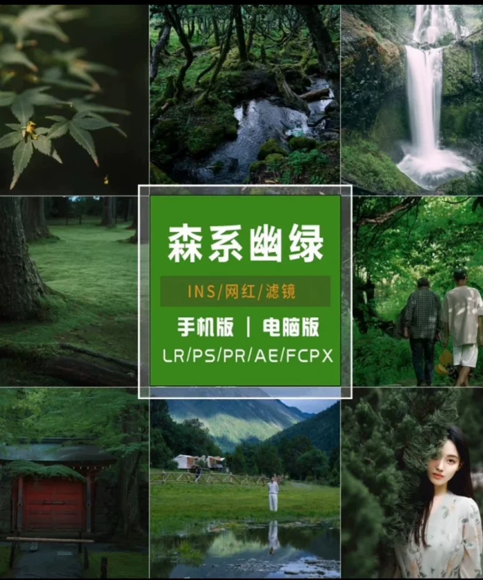 Preset Lightroom Màu Rừng Tự Nhiên – 50 Tone Film Tĩnh Lặng, Dịu Mắt, Chuẩn Điện Ảnh (XMP/CUBE)