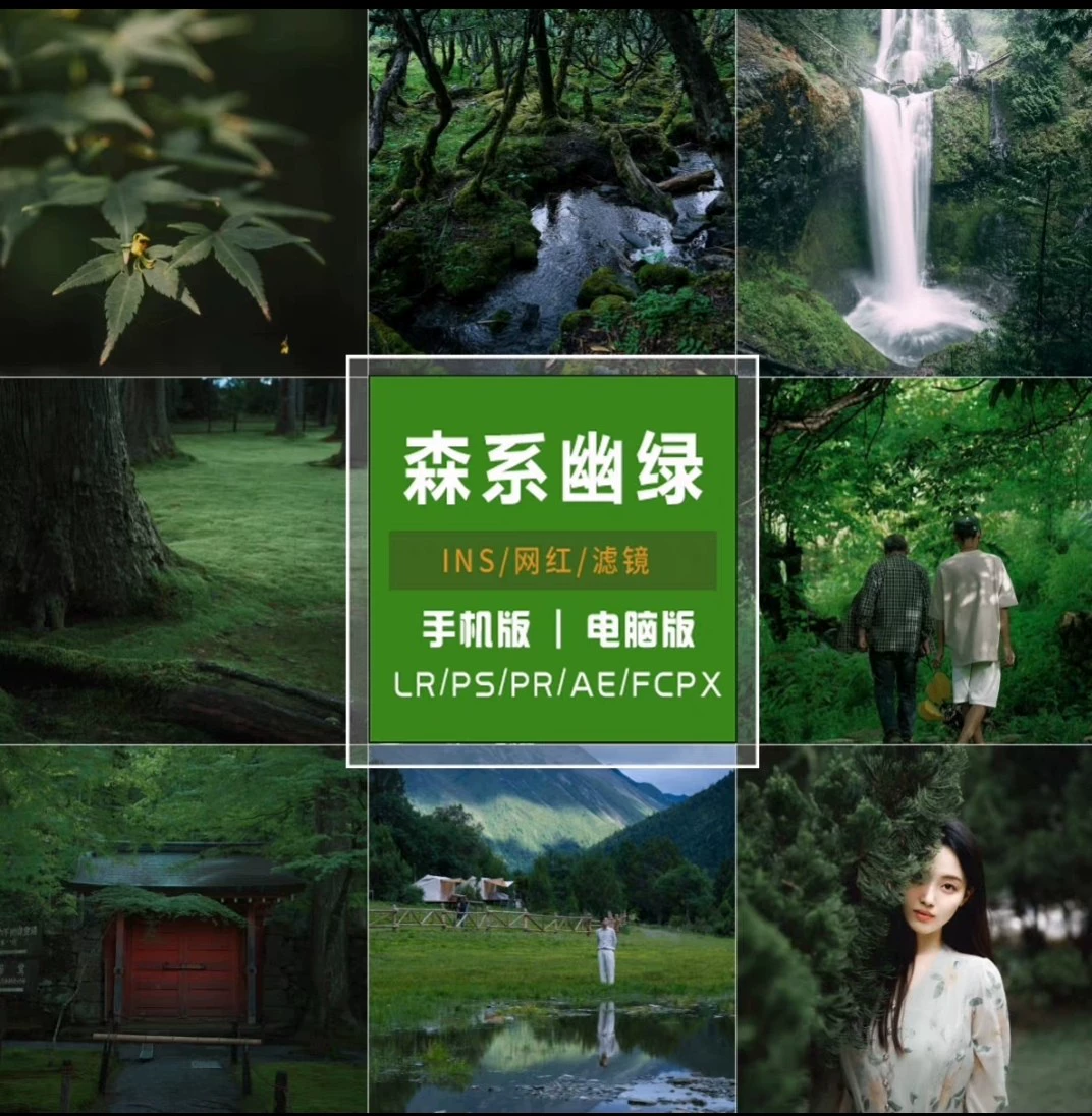 Preset Lightroom Màu Rừng Tự Nhiên – 50 Tone Film Tĩnh Lặng, Dịu Mắt, Chuẩn Điện Ảnh (XMP/CUBE)