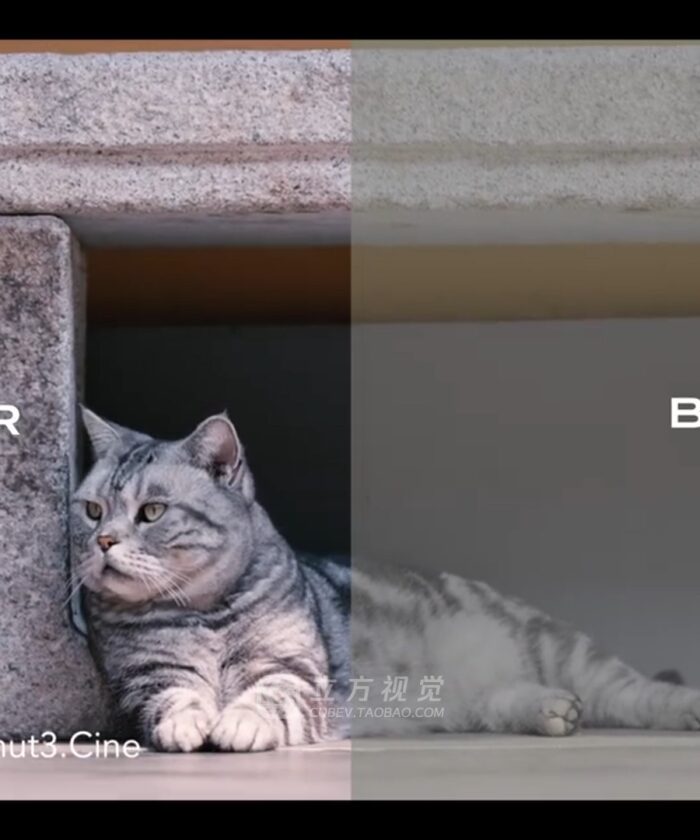 Bộ LUT Sony Sang Kodak 2383/2393 – Giả Lập Màu Phim Điện Ảnh Cổ Điển (CUBE) 24 shopthietke com Shopthietke.com 8