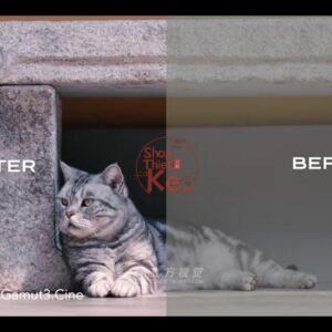 Bộ LUT Sony Sang Kodak 2383/2393 – Giả Lập Màu Phim Điện Ảnh Cổ Điển (CUBE)