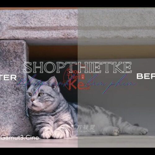 Bộ LUT Sony Sang Kodak 2383/2393 – Giả Lập Màu Phim Điện Ảnh Cổ Điển (CUBE)