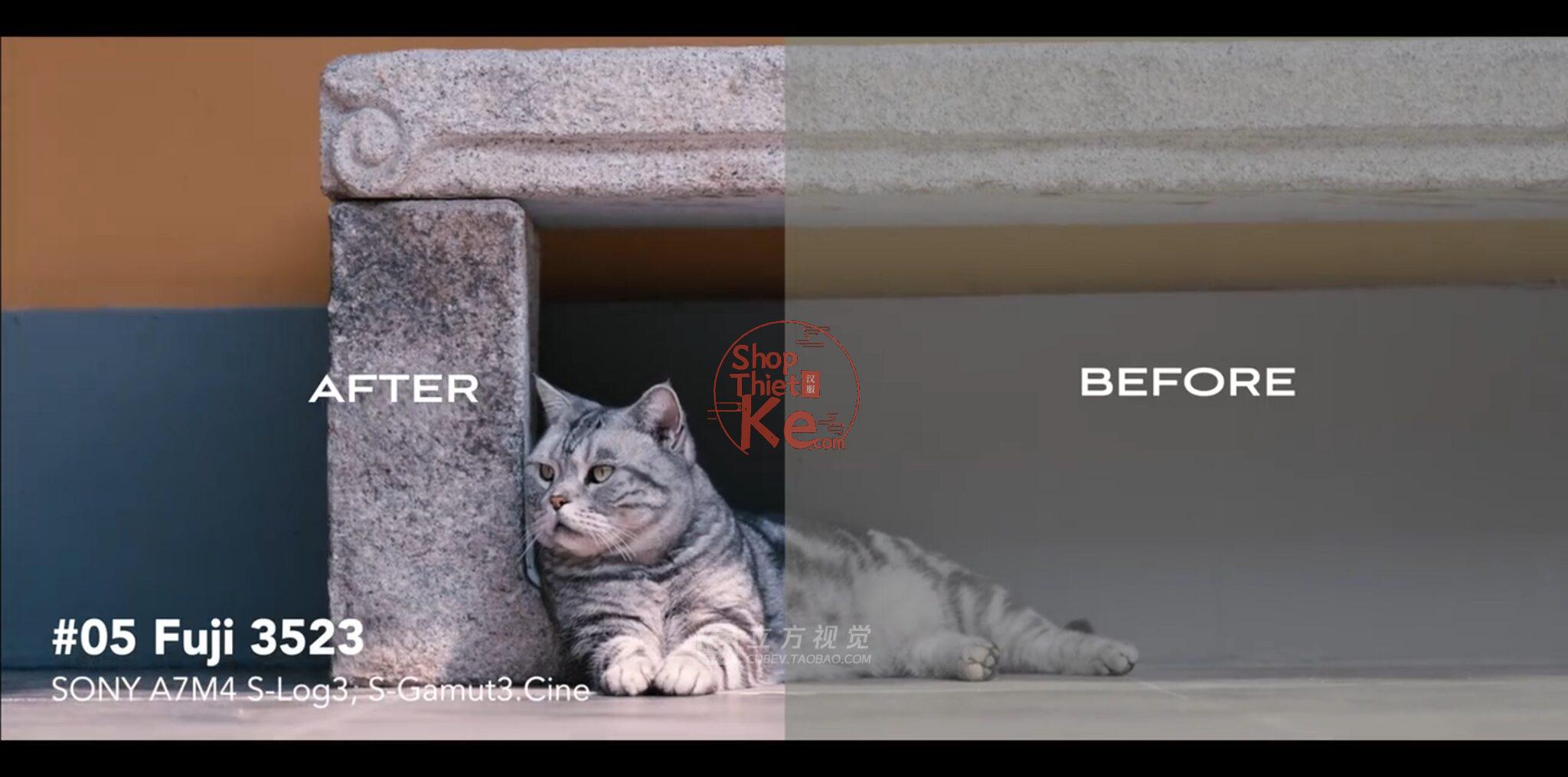 Bộ LUT Sony Sang Kodak 2383/2393 – Giả Lập Màu Phim Điện Ảnh Cổ Điển (CUBE) 11 shopthietke com Shopthietke.com 8 scaled