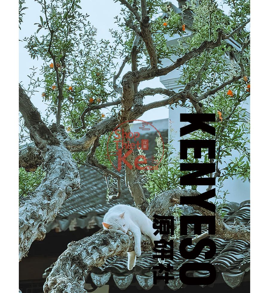 shopthietke com Shopthietke.com 84