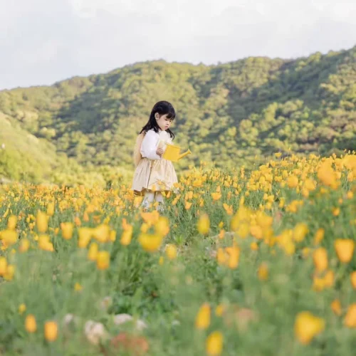 Bộ Preset Chụp Ảnh Trẻ Em Chính Hãng Từ NAG Đại Phúc – Tone Màu Đẹp Chuẩn Studio (XMP)