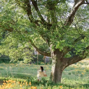 Bộ Preset Chụp Ảnh Trẻ Em Chính Hãng Từ NAG Đại Phúc – Tone Màu Đẹp Chuẩn Studio (XMP)