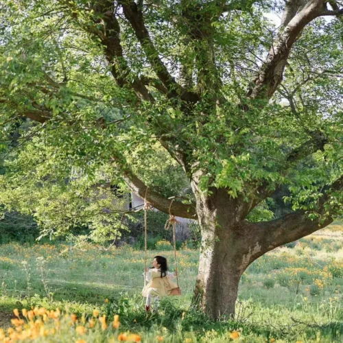 Bộ Preset Chụp Ảnh Trẻ Em Chính Hãng Từ NAG Đại Phúc – Tone Màu Đẹp Chuẩn Studio (XMP)