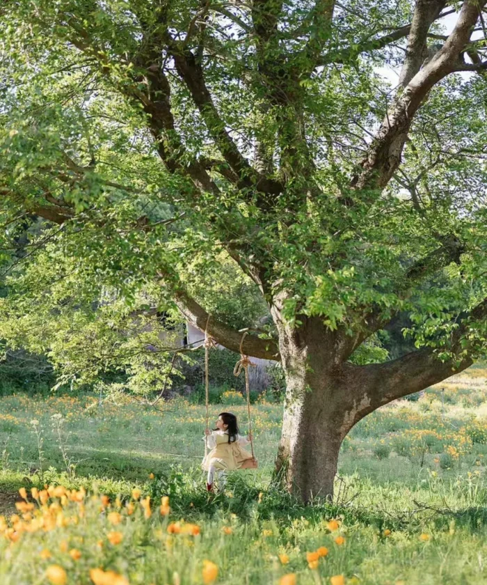 Bộ Preset Chụp Ảnh Trẻ Em Chính Hãng Từ NAG Đại Phúc – Tone Màu Đẹp Chuẩn Studio (XMP) 15 shopthietke com Shopthietke.com 86