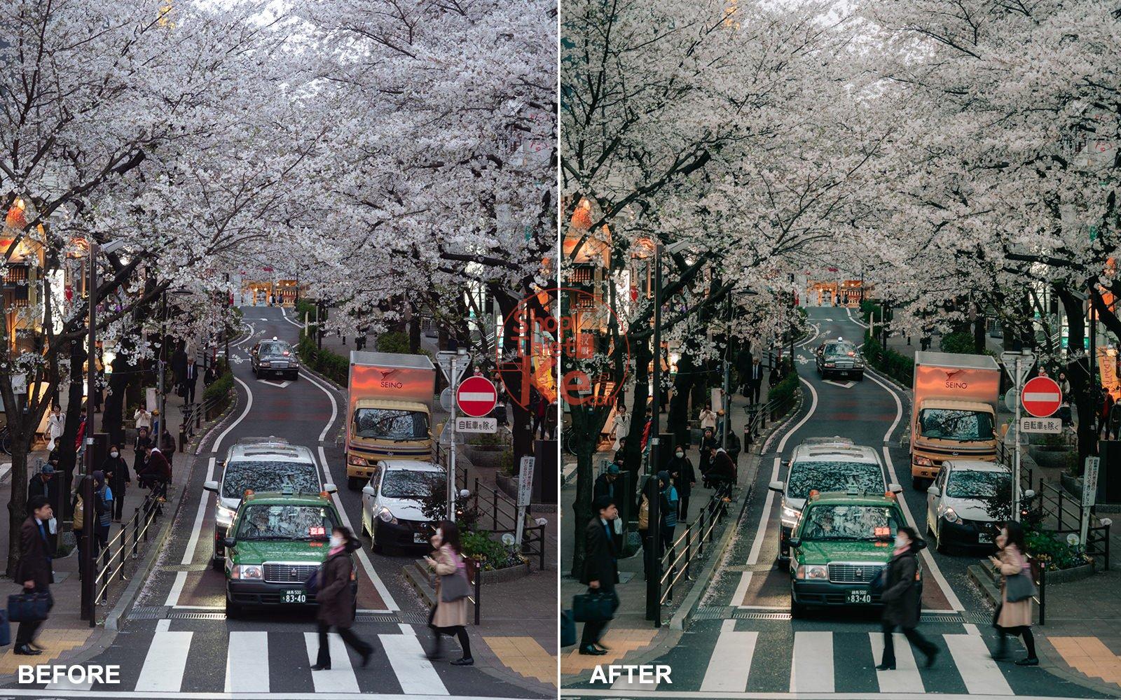 shopthietke com The Master Collection Lightroom Presets Yantastic Presets 11