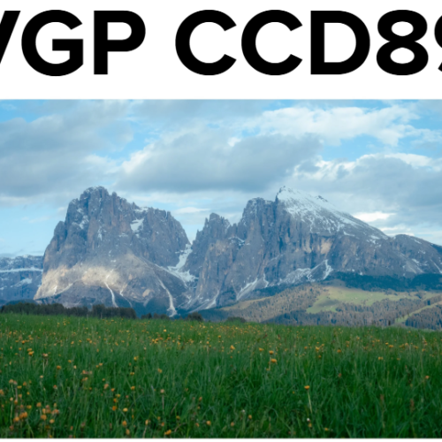 VGP CCD89 – Bộ Preset Tái Tạo Màu CCD Huyền Thoại (XMP/DNG)