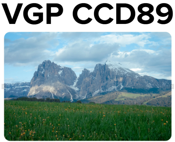 VGP CCD89 – Bộ Preset Tái Tạo Màu CCD Huyền Thoại (XMP/DNG)