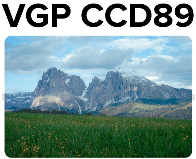 VGP CCD89 – Bộ Preset Tái Tạo Màu CCD Huyền Thoại (XMP/DNG)