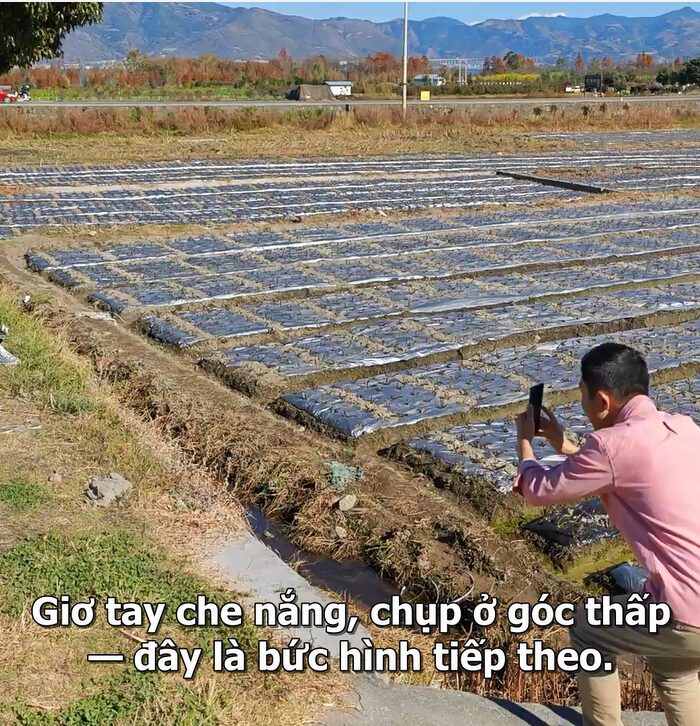 shopthietke com anh 4