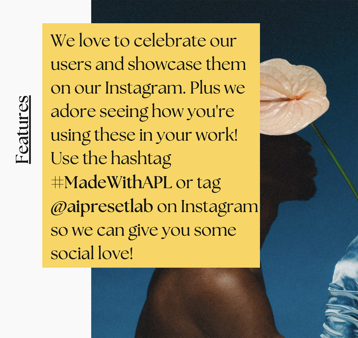 shopthietke com anh 43