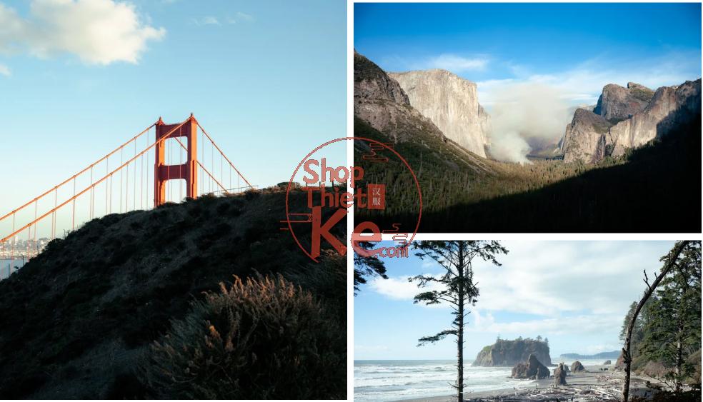 shopthietke com anh 49