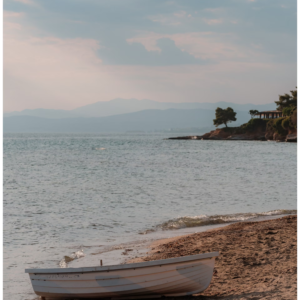 Bộ 13 Mô Phỏng Màu Phim Fujifilm Dành Cho Lightroom – Fujify Essential Pack (Sony) (XMP)