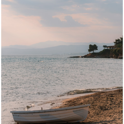 Bộ 13 Mô Phỏng Màu Phim Fujifilm Dành Cho Lightroom – Fujify Essential Pack (Sony) (XMP)