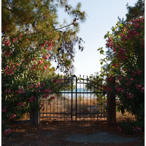 Bộ 13 Mô Phỏng Màu Phim Fujifilm Dành Cho Lightroom – Fujify Essential Pack (Sony) (XMP)