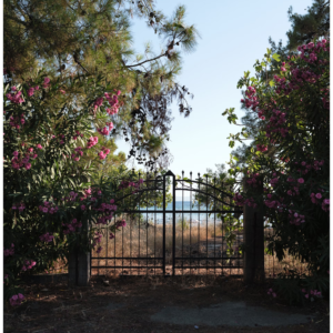 Bộ 13 Mô Phỏng Màu Phim Fujifilm Dành Cho Lightroom – Fujify Essential Pack (Sony) (XMP) 16 shopthietke com anh 57