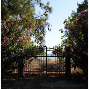 Bộ 13 Mô Phỏng Màu Phim Fujifilm Dành Cho Lightroom – Fujify Essential Pack (Sony) (XMP) 15 shopthietke com anh 58