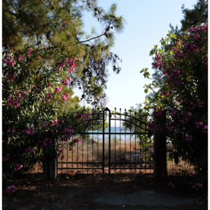 Bộ 13 Mô Phỏng Màu Phim Fujifilm Dành Cho Lightroom – Fujify Essential Pack (Sony) (XMP)