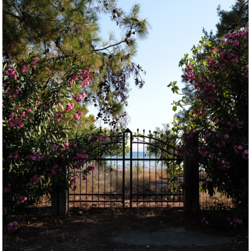 Bộ 13 Mô Phỏng Màu Phim Fujifilm Dành Cho Lightroom – Fujify Essential Pack (Sony) (XMP)